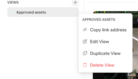 The menu of a library view in the library sidebar, with Copy link address, Edit View, Duplicate View and Delete View.